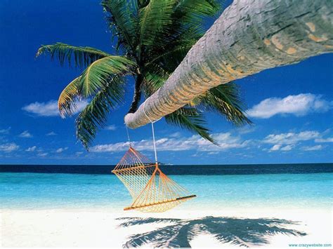 We did not find results for: Tropical Island Desktop Wallpapers - Wallpaper Cave