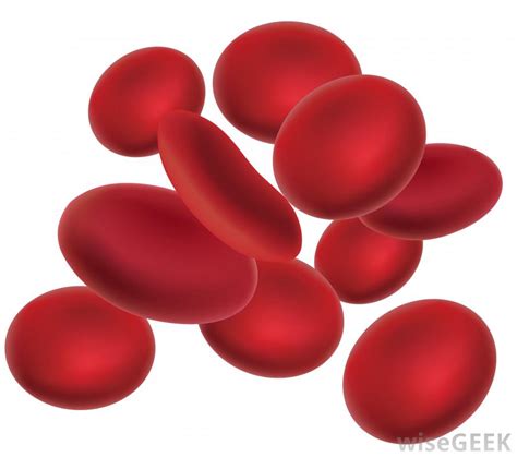 Blood Red Clipart 20 Free Cliparts Download Images On Clipground 2020