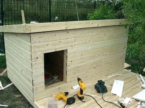 insulated dog house with a mini garden on top um yes ...
