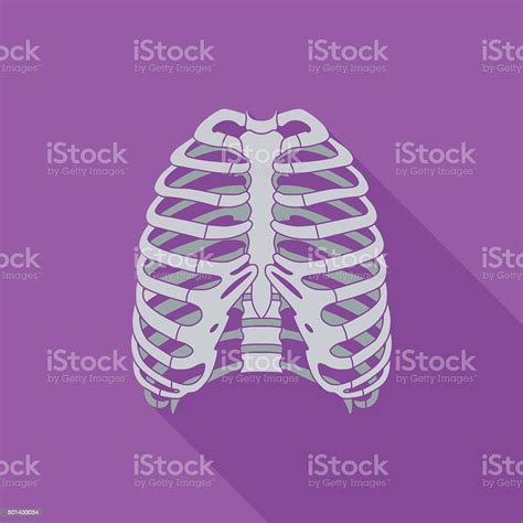 Icon Of Human Thorax Stock Illustration Download Image Now Anatomy