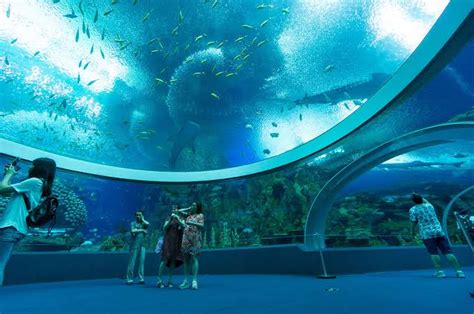 The Top 13 Worlds Largest Aquariums 2024 Best Aquariums