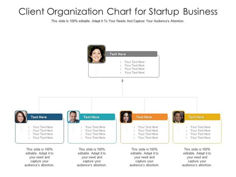 Client Organization Chart For Startup Business Infographic Template
