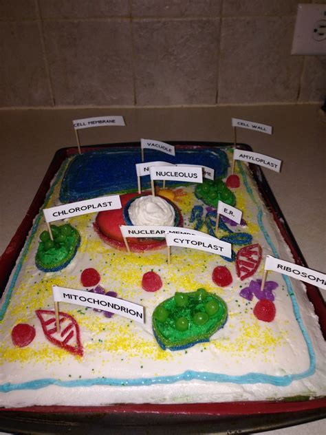 Plant Cell Cake Edible Cell Project Plant Cell Cake Edible Cell