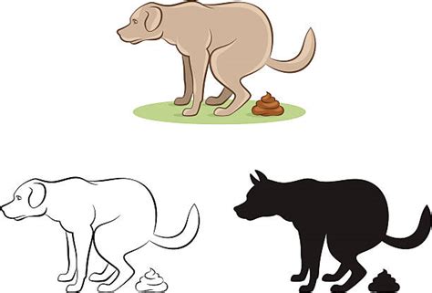 Royalty Free Dog Pooping Clip Art Vector Images And Illustrations Istock