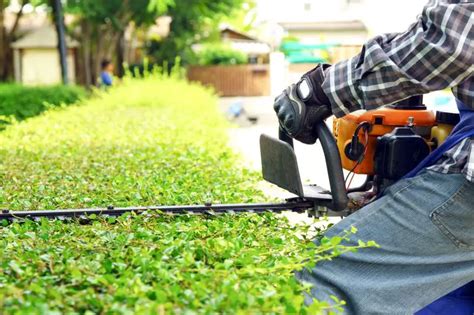 Benefits Of Hiring Lawn Care Professionals A Very Cozy Home