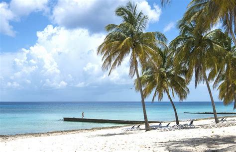 Maria la gorda is in pinar del rio province in western cuba. Cuba Maria La Gorda séjour plongée - Spots d'Evasion