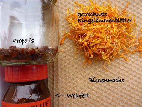 Ausgesät im beet, im blumentopf oder blumenkasten wachsen sie buschig und farbenfroh den ganzen sommer hindurch. Wolle Natur Farben : Heilsalbe aus Calendula officinalis