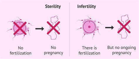 Differences Between Sterility And Infertility
