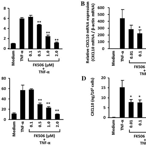Effects Of Tacrolimus Fk506 On The Tnf α Induced Mrna And Protein