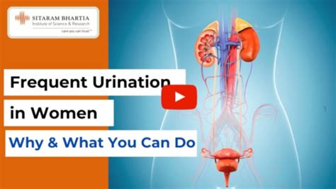 Frequent Urine Problems In Females Why And What You Can Do Video