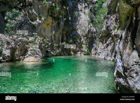 Landscape Crystal Clear Mountain River Stock Photo Alamy