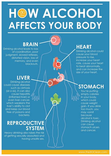 How Alcohol Affects Your Body Alcoholic Drinks Alcohol Brain And Heart