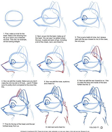 How To Draw Canine Profile Tutorial By Justautumn On