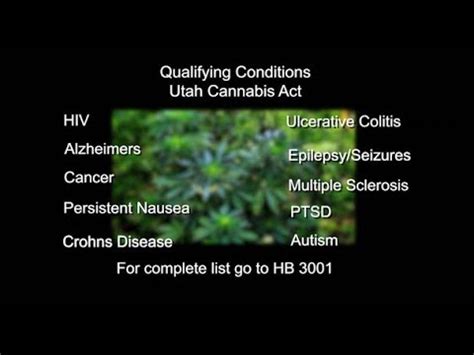 Check spelling or type a new query. Utah Medical Marijuana Rules - YouTube