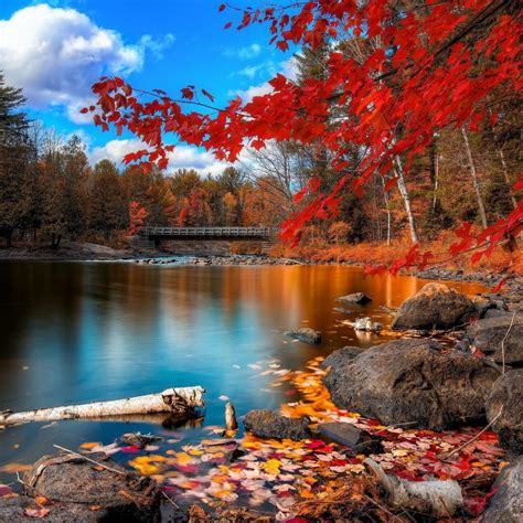 10 Top New England Fall Foliage Wallpaper Full Hd 1920×1080 For Pc