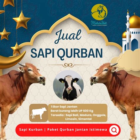 Jual Sapi Kurban Paket Qurban Jantan Istimewa Shopee Indonesia