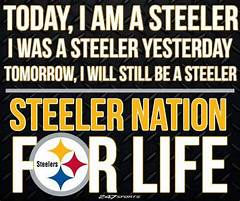Steelers Fan Meme