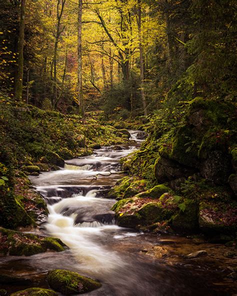Bilder Bayern Deutschland Black Forest Natur Herbst Bäche Wälder