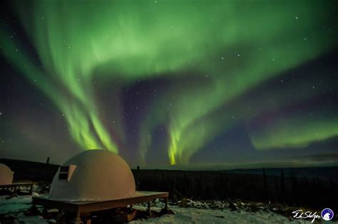 watch the aurora from a cozy bed at these unbelievable igloos in alaska