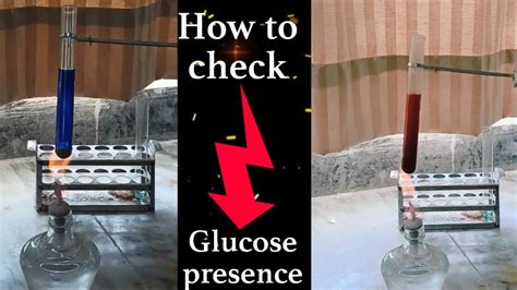 Fehlings Solution Test Check The Presence Of Glucose Youtube