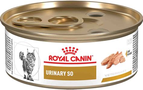 Royal canin veterinary diet renal support e (enticing) wet cat food, 5.8 oz. ROYAL CANIN VETERINARY DIET Urinary SO Loaf In Sauce ...