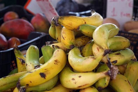 Bananas And Other Fruits Are Sold On The Market Stock Photo Image Of