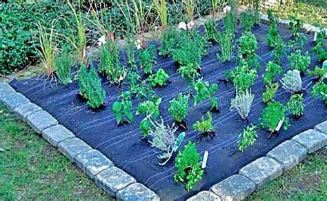 Feb 05, 2021 · 9 shovel edging. Garden care: Easy steps to use a weed barrier in your garden