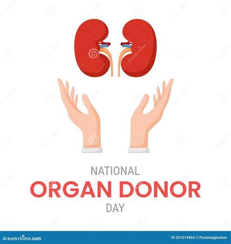 National Organ Donor Day With Kidneys Stock Vector Illustration Of