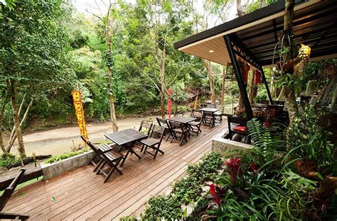 The chai lai orchid, mae win, mae wang district, chiang mai, thailand. ปักพินในบอร์ด Chiang Mai