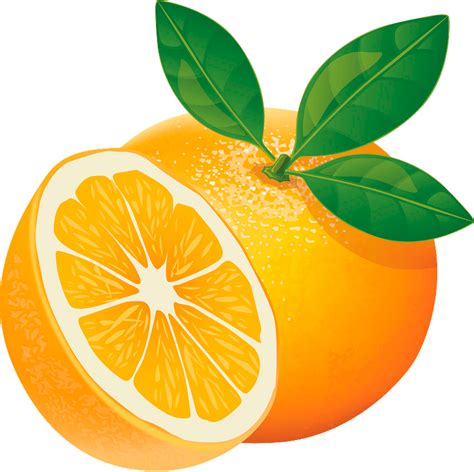 Apelsin Clipart Gratis Nedladdning Creazilla