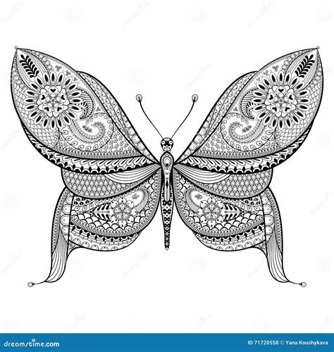 Farfalla Disegnata A Mano Nello Stile Dello Zentangle Patte Tribale
