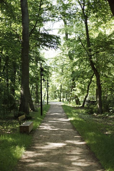Iława Forest Poland Landscape Architecture Lab ランドスケープ 風景 写真