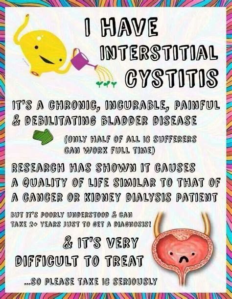 A Cyst Of The Bladder Symptoms Causes And Treatment Images