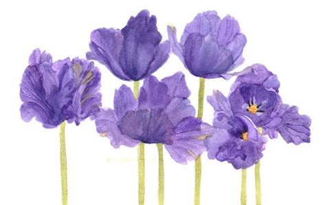 Purple Parrot Tulip Watercolor Painting By Wandazuchowskischick 1500
