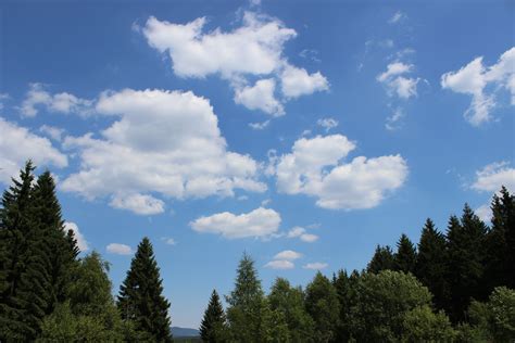 Free Images Landscape Tree Nature Forest Wilderness Cloud Sky