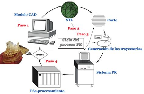 Proceso De Prototipado Rápido 1 Download Scientific Diagram