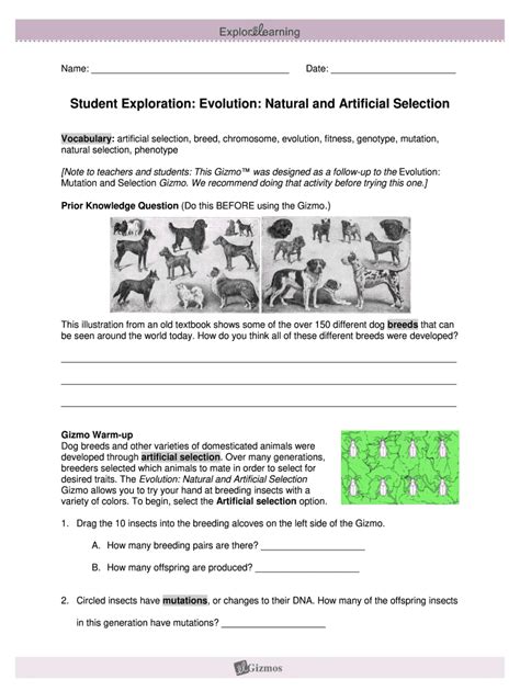 Natural Selection Gizmo Answer Key Form Fill Out And Sign Printable