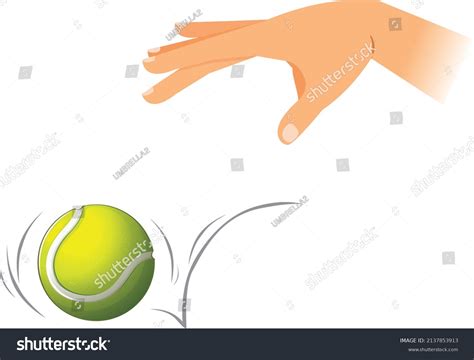 Hand Dropping Tennis Ball Gravity Experiment Stock Vector Royalty Free