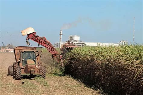 Harvesting Sugar Cane More Efficiently With Ai And Iot Future Farming