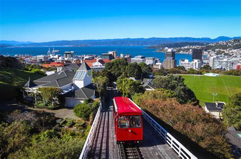 14 Things To Do In Wellington New Zealand Celebrity Cruises