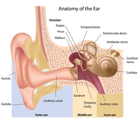 How To Fix Inner Ear Problems