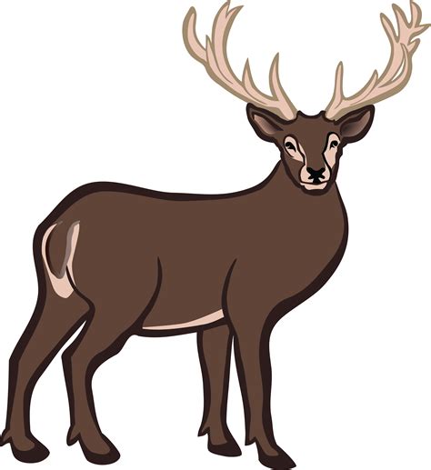 Buck Clipart Reindeer Buck Reindeer Transparent Free For Download On