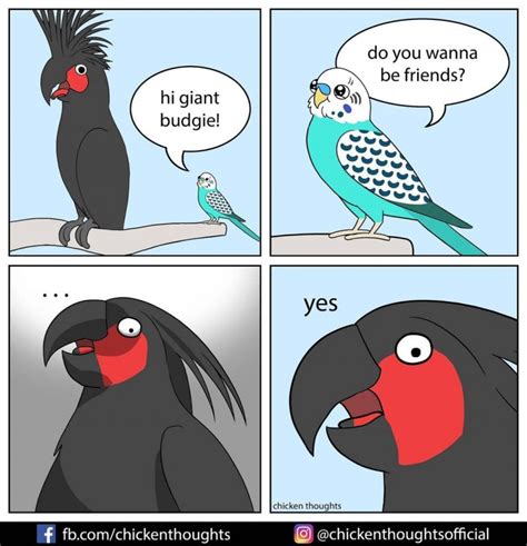 25 Funniest New Comics About Parrots Illustrated By The Owner Of The