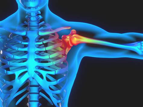 4 Types Of Shoulder Injuries You Should Know About Health Policy Monitor