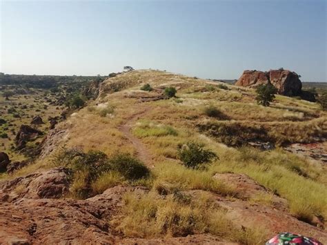 Mapungubwe National Park All You Need To Know Before You Go