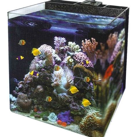 Ocean Free Nano Marine Ios Fish Tank 34l Pet Supplies Homes And Other
