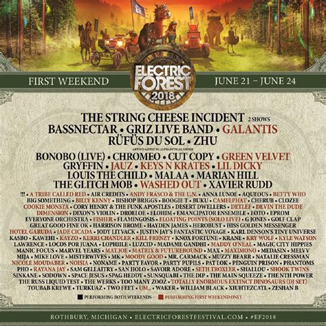 electric forest announces initial 2018 lineup grateful web