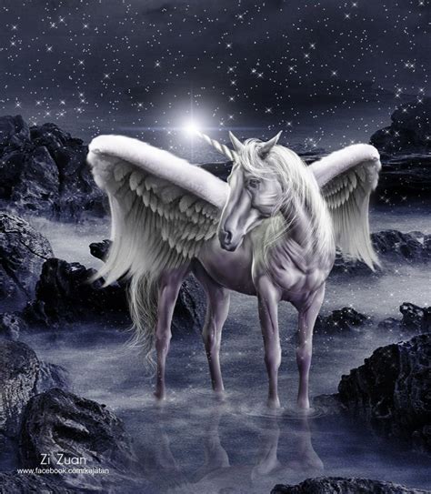 Unicorn Pegasus By Zizuan On Deviantart Unicorn Fantasy Unicorn