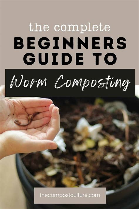 A Beginners Guide To Worm Composting The Compost Culture