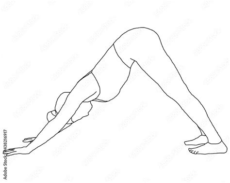 Yoga Pose Silhouet Downward Facing Dog Adho Mukha Svanasana Outline